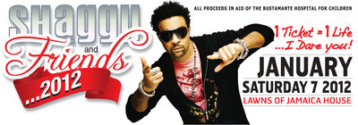 Shaggy & Friends banner