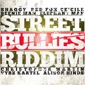 Street Bullies Riddim cover Shaggy Long Time Red Foxx Bounce Vybz Kartel Slow Motion Beenie Man The Doctor Humility Elephant Man Di Energy God Poverty Christopher Martin Vibe is Right CeCile Nah Stress Ova man Alison Hinds Rags Up Give it to Them cds single art